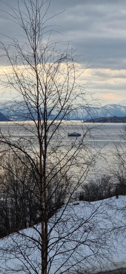 Willa Frydenlund Balestrand Zewnętrze zdjęcie