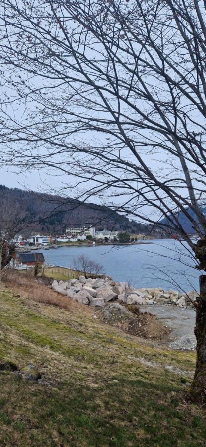 Willa Frydenlund Balestrand Zewnętrze zdjęcie