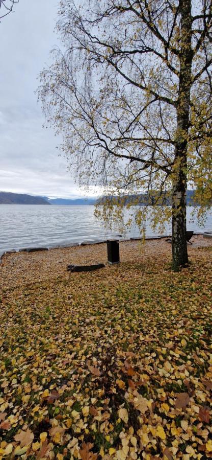 Willa Frydenlund Balestrand Zewnętrze zdjęcie