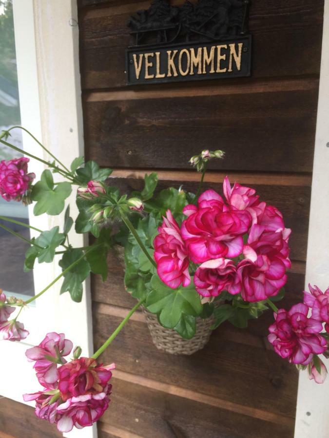Willa Frydenlund Balestrand Zewnętrze zdjęcie